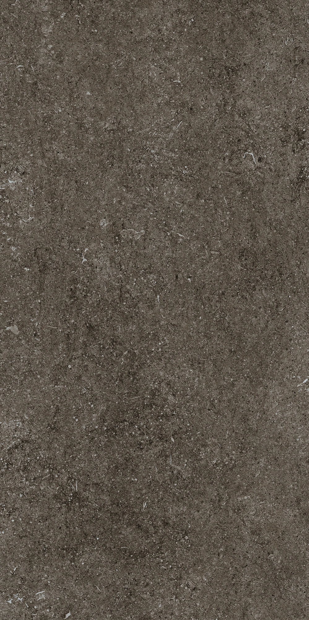 Florim Casa Dolce Casa Sensi Brown Fossil R+Ptv 60X120 Ret 768328