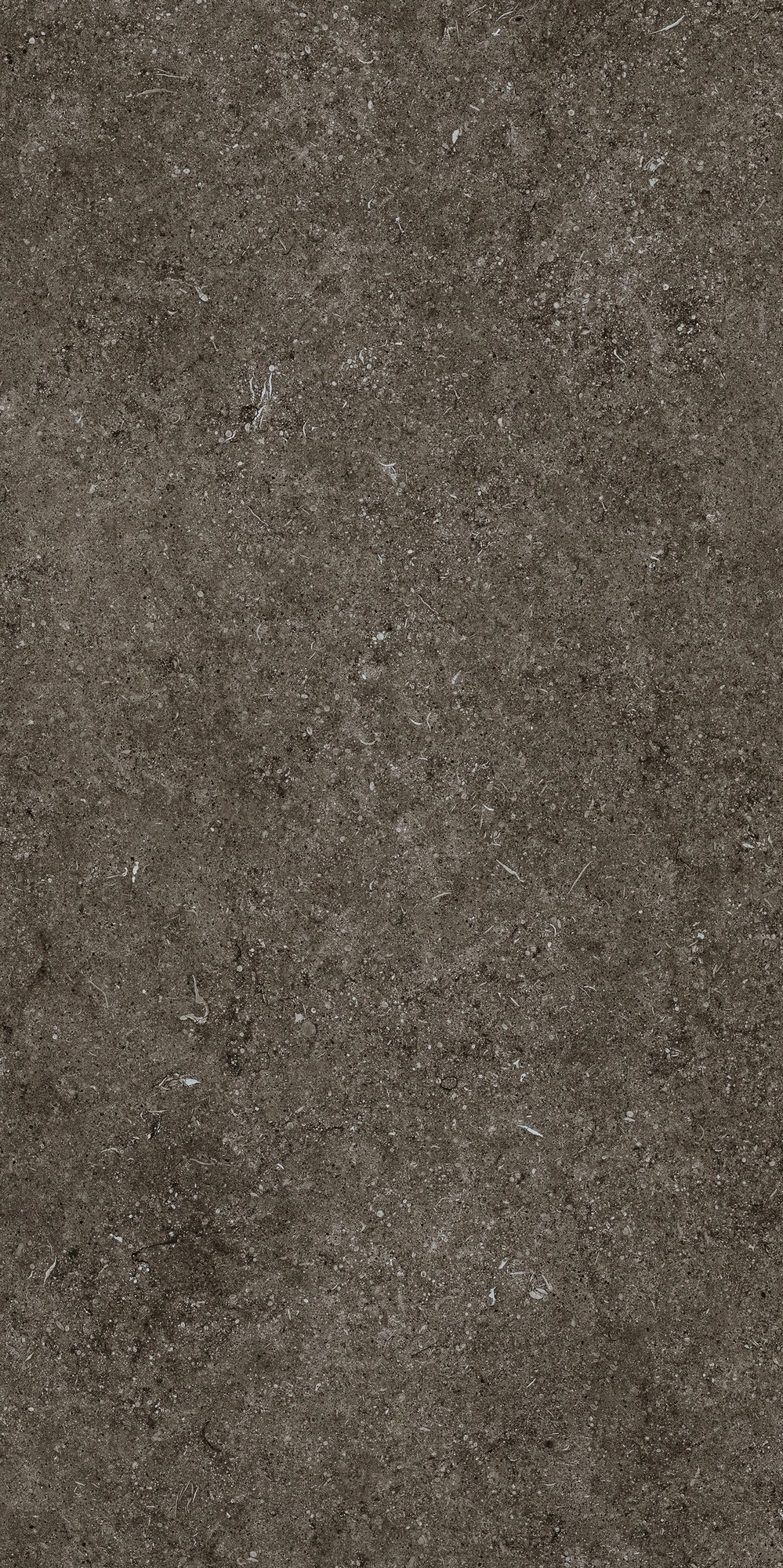 Florim Casa Dolce Casa Sensi Brown Fossil R+Ptv 60X120 Ret 768328