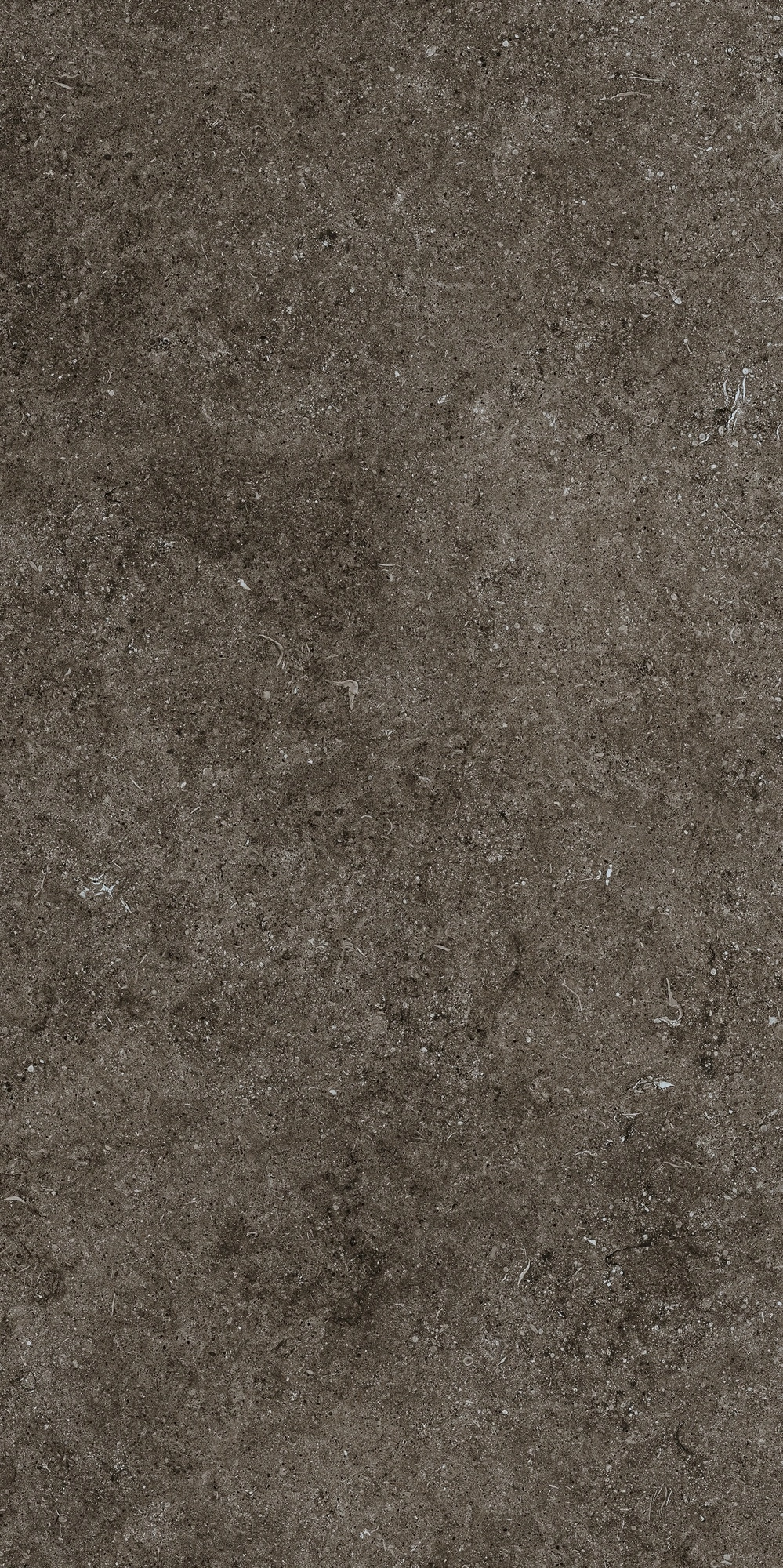 Florim Casa Dolce Casa Sensi Brown Fossil R+Ptv 60X120 Ret 768328