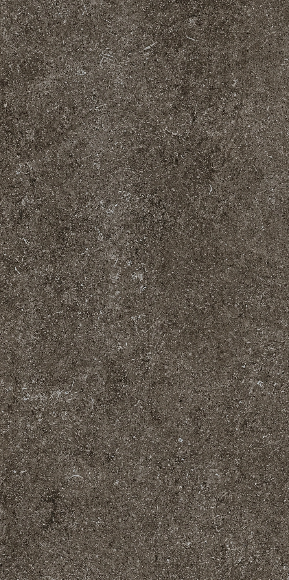 Florim Casa Dolce Casa Sensi Brown Fossil R+Ptv 60X120 Ret 768328