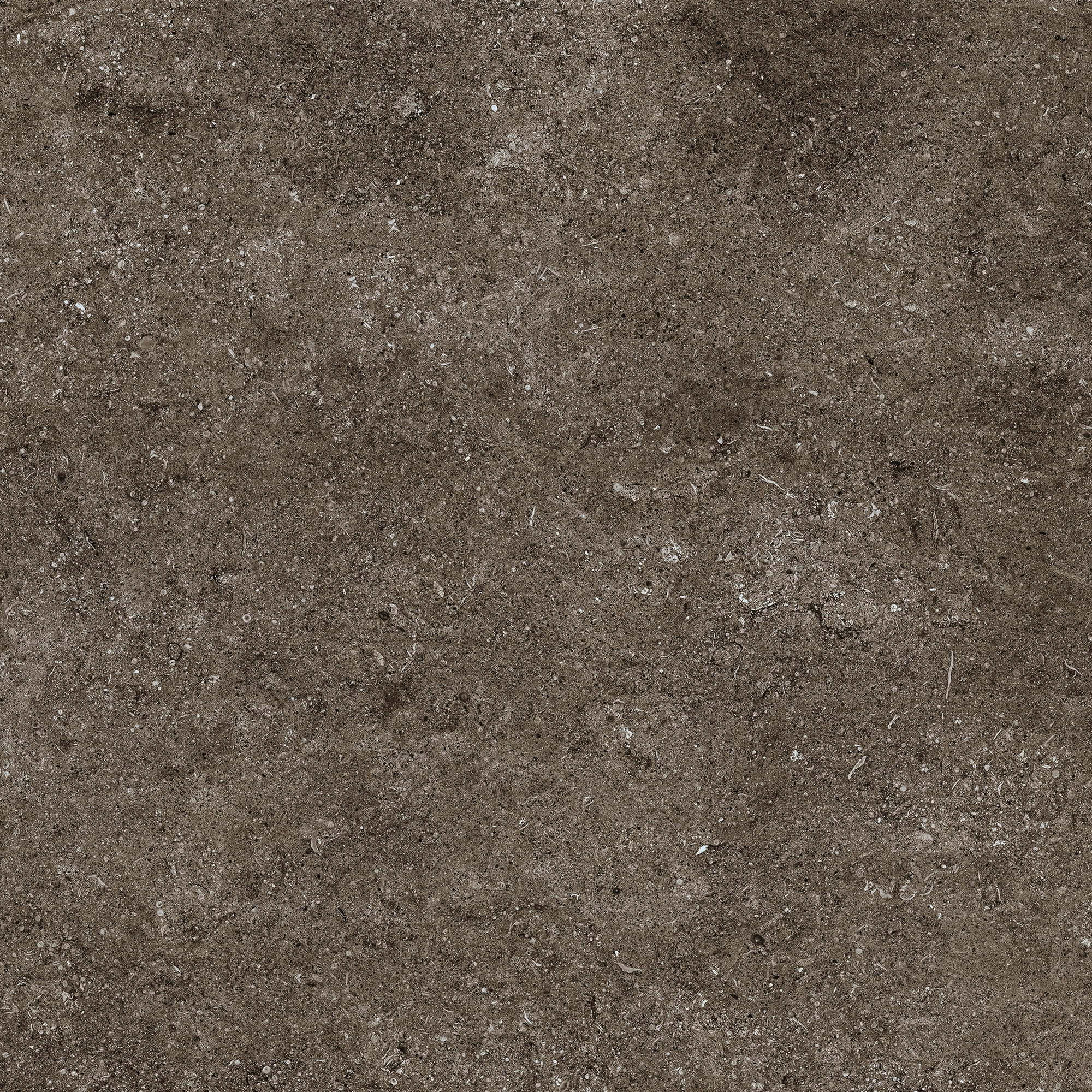 Florim Casa Dolce Casa Sensi Brown Fossil R+Ptv 80X80 Rett 768380