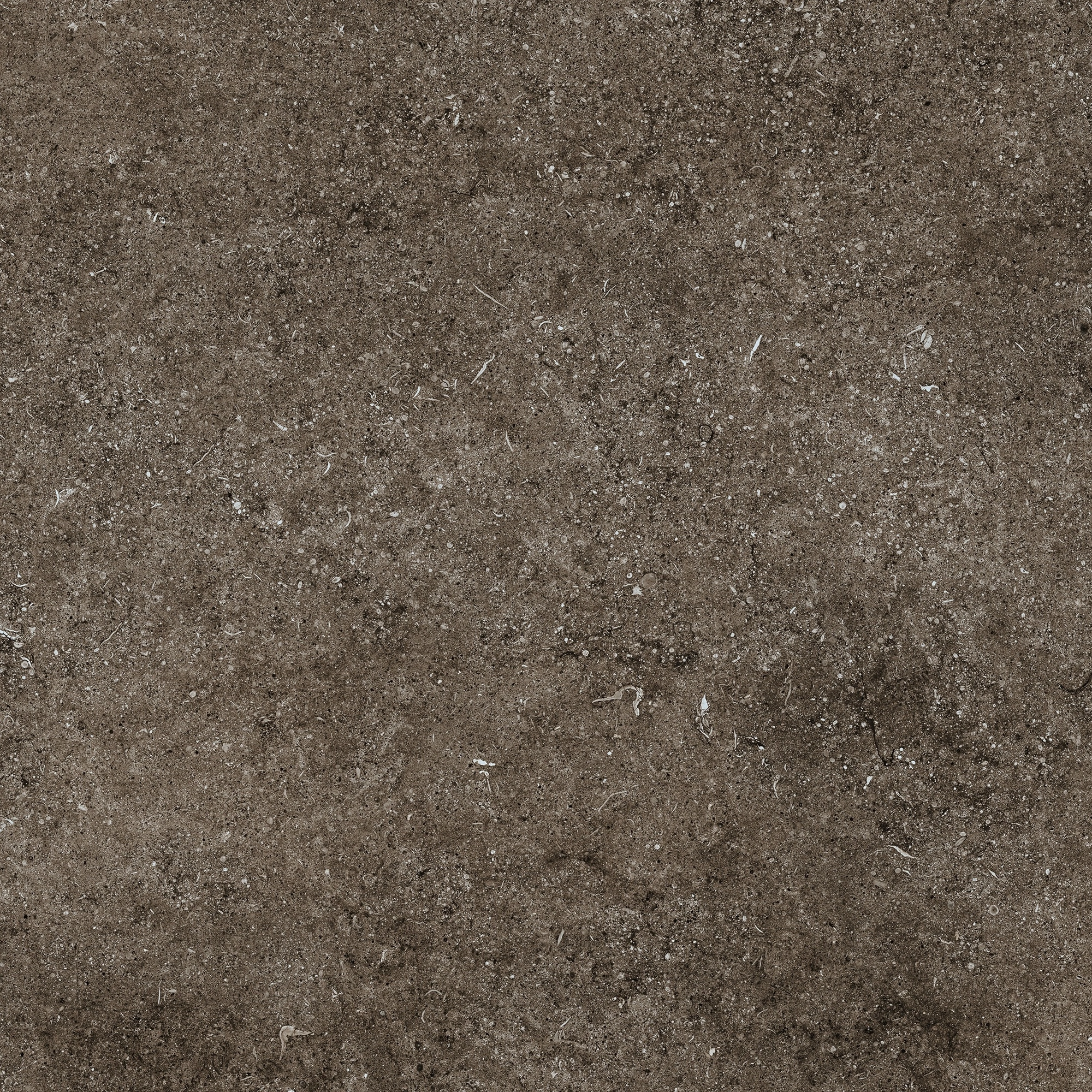 Florim Casa Dolce Casa Sensi Brown Fossil R+Ptv 80X80 Rett 768380