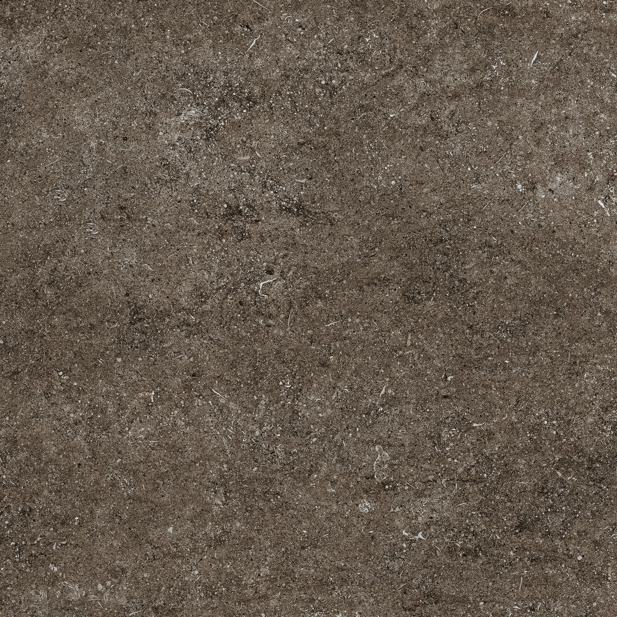 Florim Casa Dolce Casa Sensi Brown Fossil R+Ptv 80X80 Rett 768380