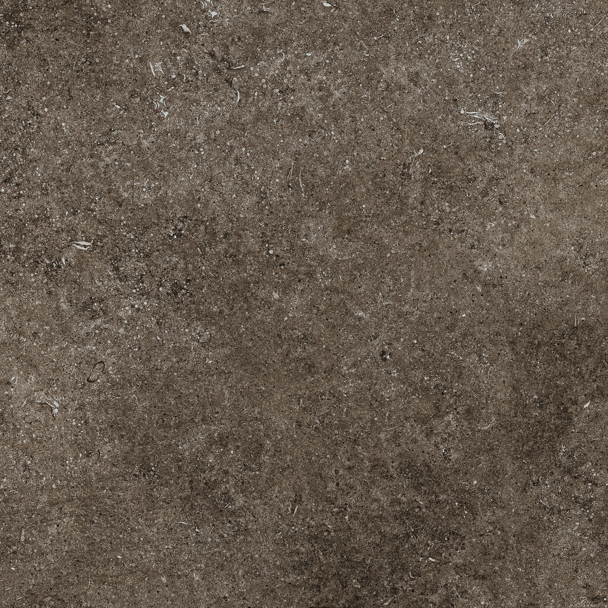 Florim Casa Dolce Casa Sensi Brown Fossil R+Ptv 80X80 Rett 768380