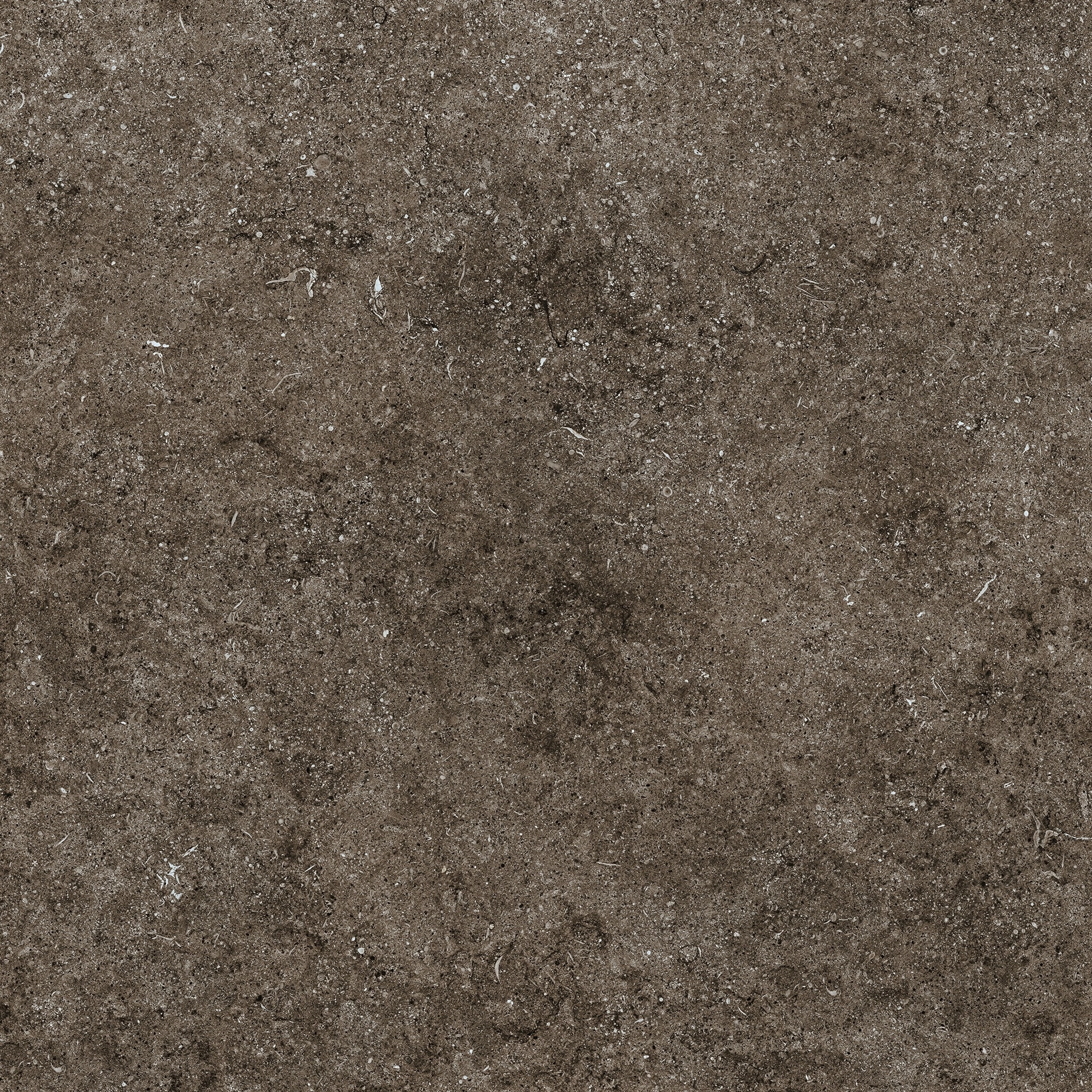 Florim Casa Dolce Casa Sensi Brown Fossil R+Ptv 80X80 Rett 768380
