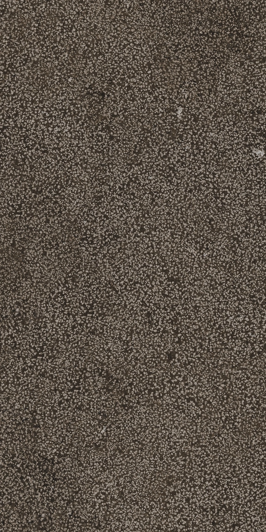 Florim Casa Dolce Casa Sensi Brown Lithos 40X80 Rett 768352