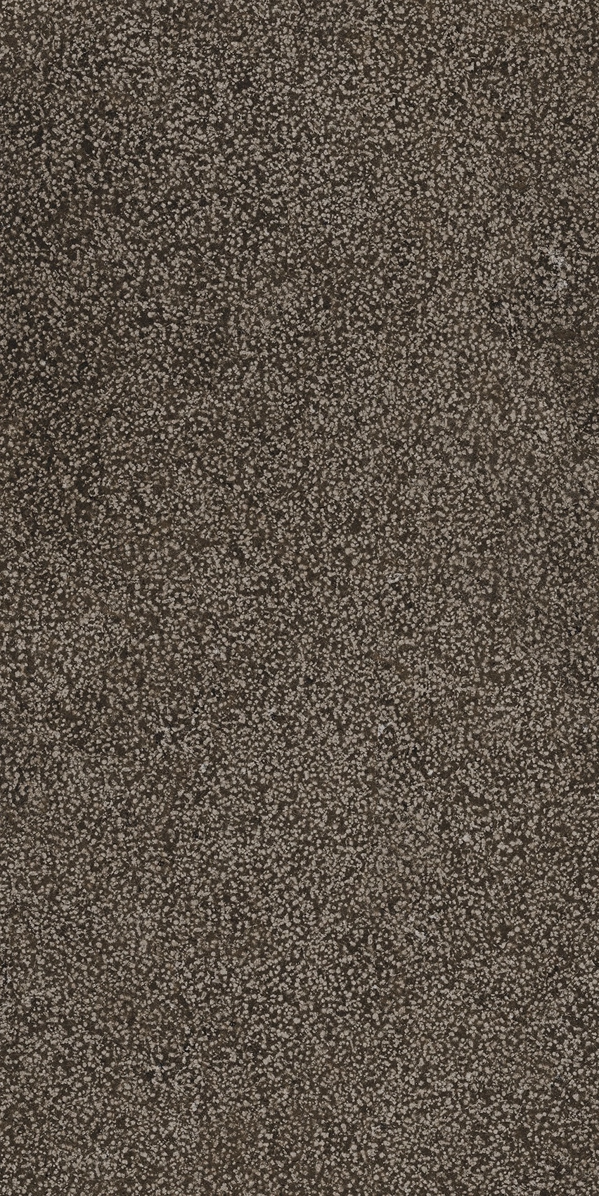 Florim Casa Dolce Casa Sensi Brown Lithos 40X80 Rett 768352