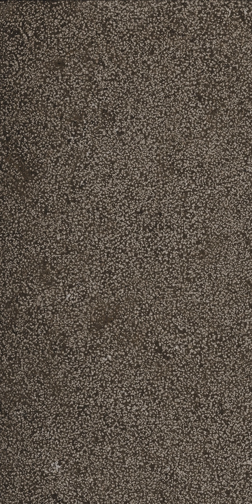 Florim Casa Dolce Casa Sensi Brown Lithos 40X80 Rett 768352