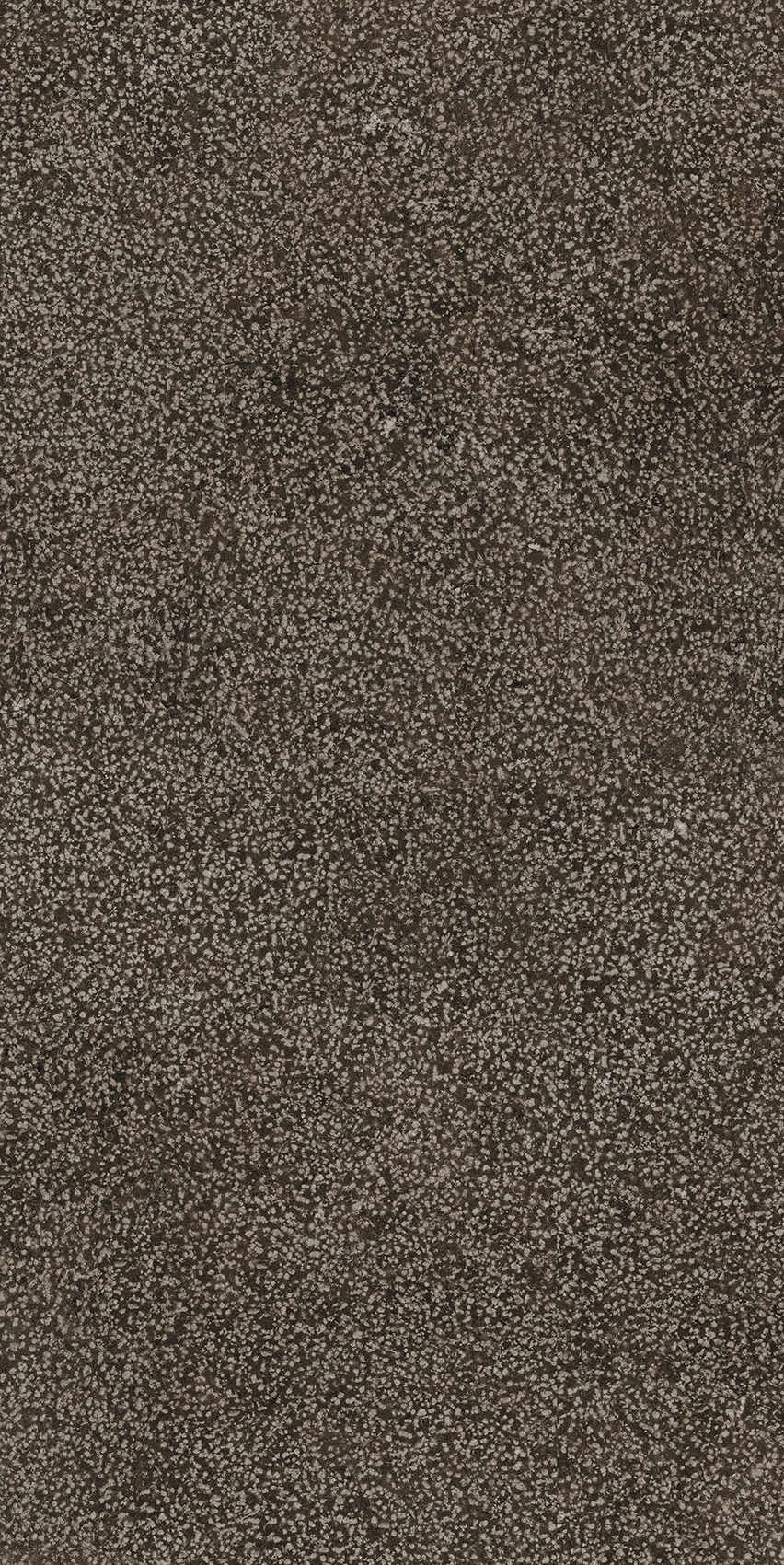 Florim Casa Dolce Casa Sensi Brown Lithos 40X80 Rett 768352