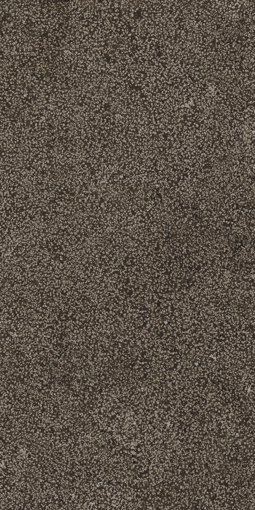 Florim Casa Dolce Casa Sensi Brown Lithos 40X80 Rett 768352