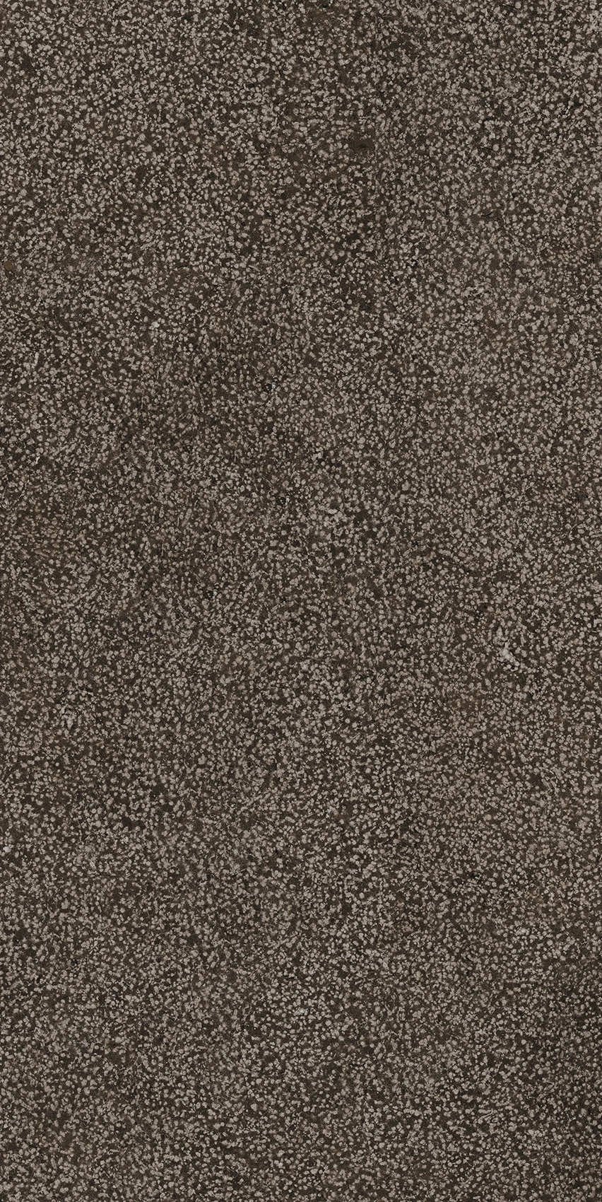 Florim Casa Dolce Casa Sensi Brown Lithos 40X80 Rett 768352