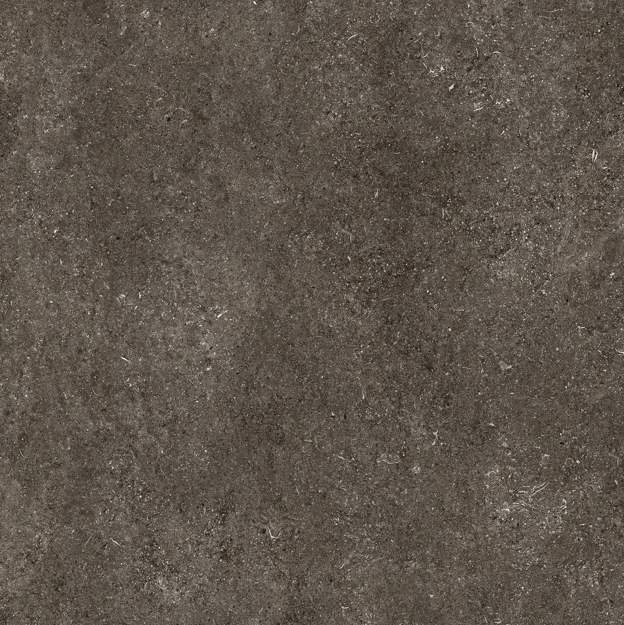 Florim Casa Dolce Casa Sensi By Thun Br.Fossil Nat6Mm 120X120R 768560