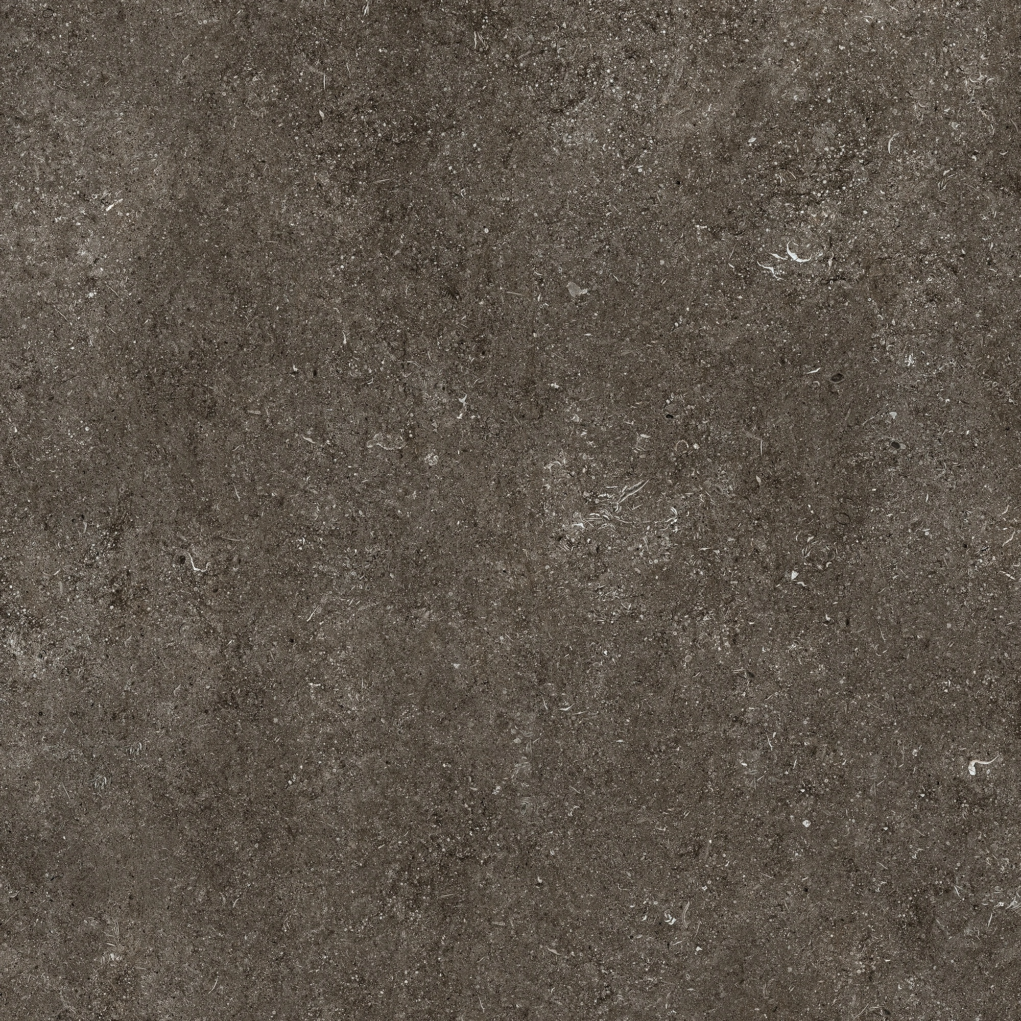 Florim Casa Dolce Casa Sensi By Thun Br.Fossil Nat6Mm 120X120R 768560