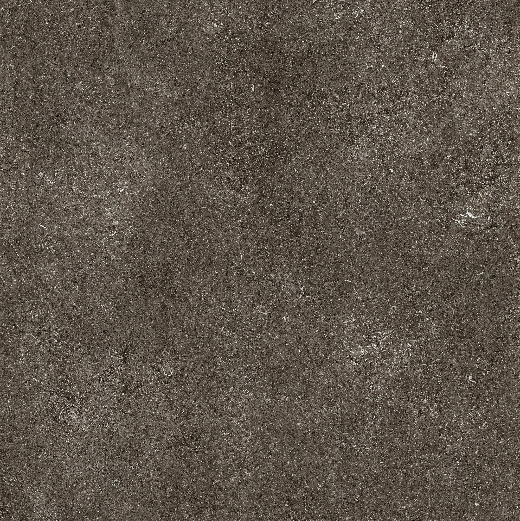 Florim Casa Dolce Casa Sensi By Thun Br.Fossil Nat6Mm 120X120R 768560