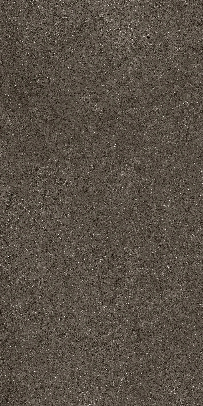 Florim Casa Dolce Casa Sensi By Thun Brown Dust Nat6Mm 60X120R 768624