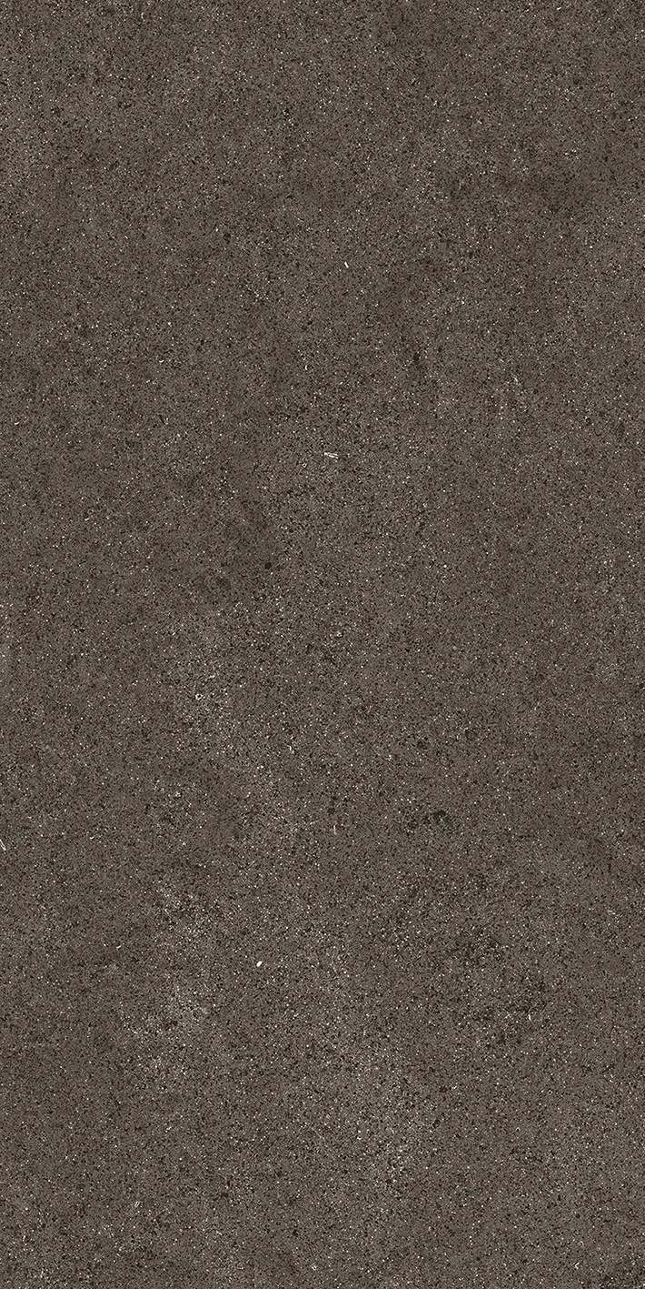 Florim Casa Dolce Casa Sensi By Thun Brown Dust Nat6Mm 60X120R 768624