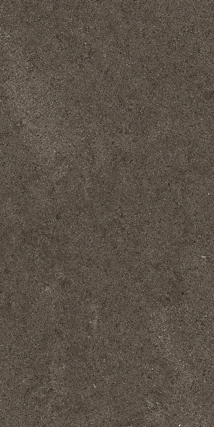 Florim Casa Dolce Casa Sensi By Thun Brown Dust Nat6Mm 60X120R 768624