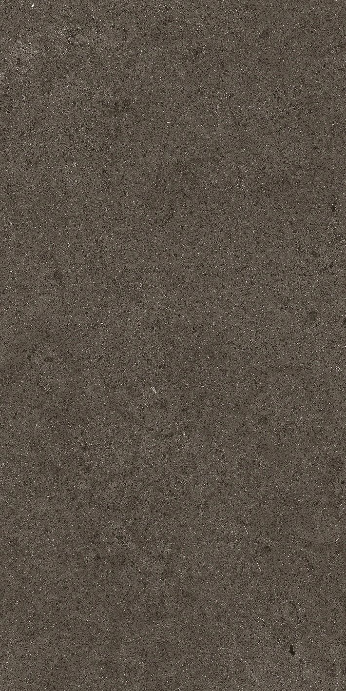 Florim Casa Dolce Casa Sensi By Thun Brown Dust Nat6Mm 60X120R 768624