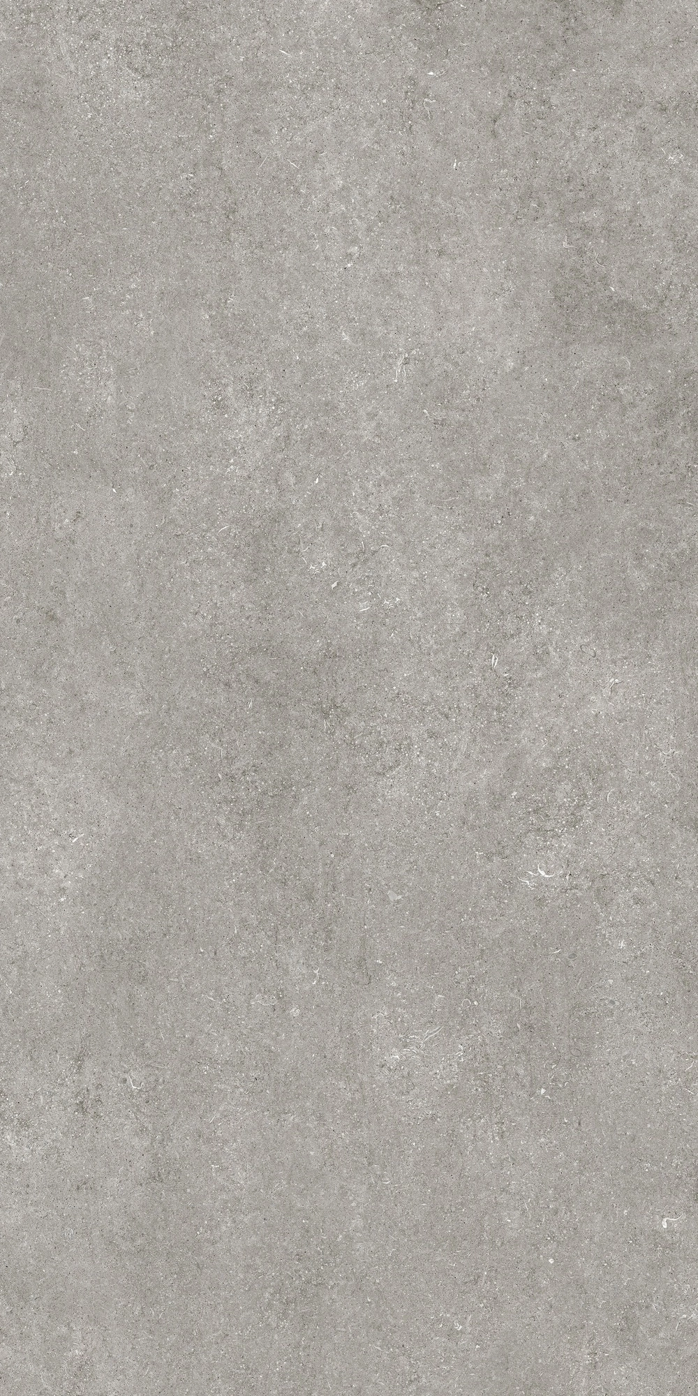 Florim Casa Dolce Casa Sensi By Thun Gr.Fossil Nat6Mm 120X240R 768581