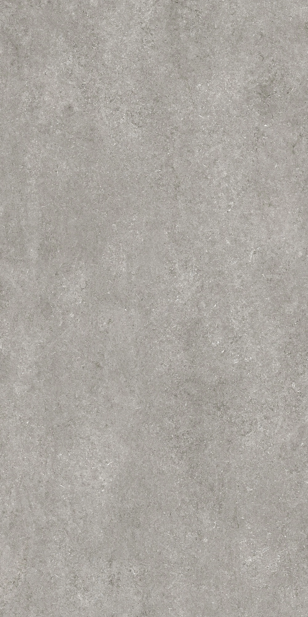 Florim Casa Dolce Casa Sensi By Thun Gr.Fossil Nat6Mm 120X240R 768581