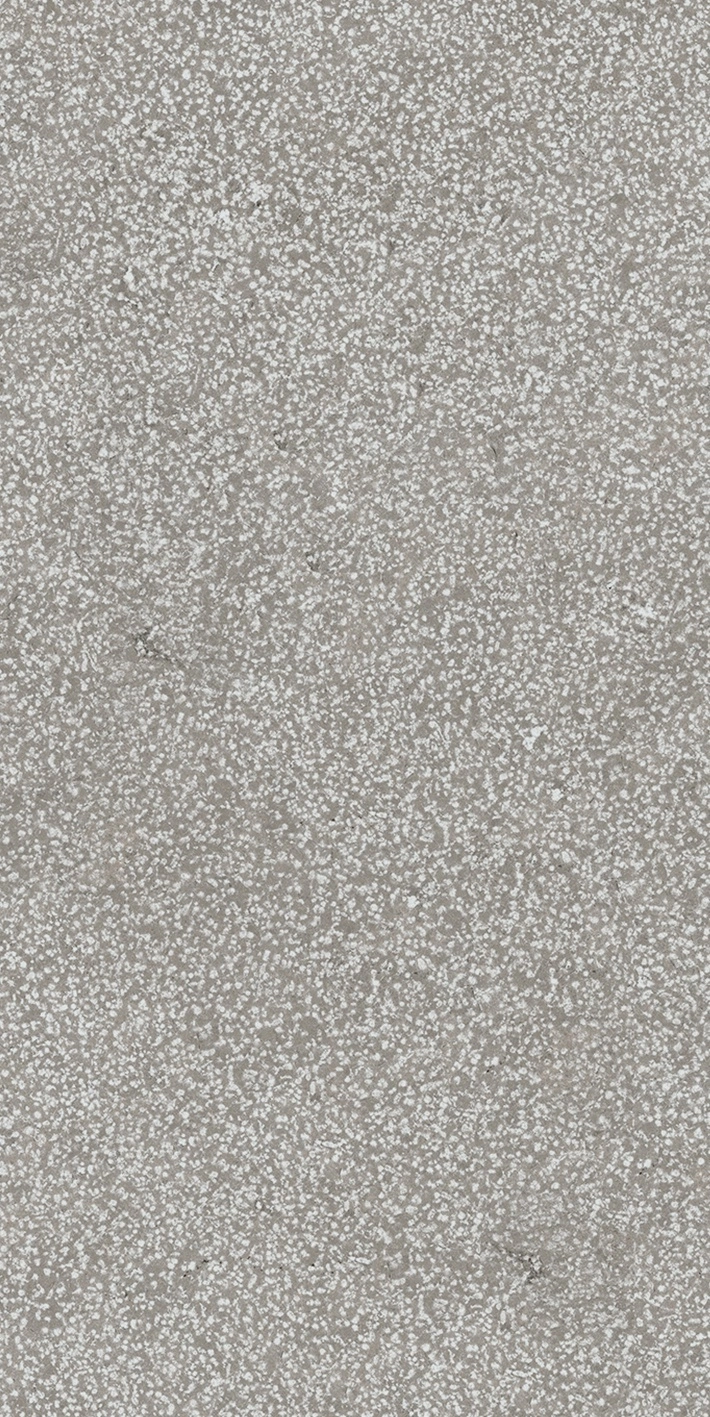 Florim Casa Dolce Casa Sensi Grey Lithos 40X80 Rett 768341