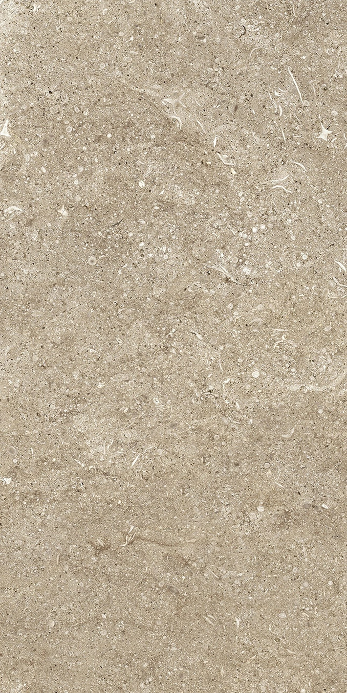 Florim Casa Dolce Casa Sensi Taupe Fossil 40X80 Ret 768347