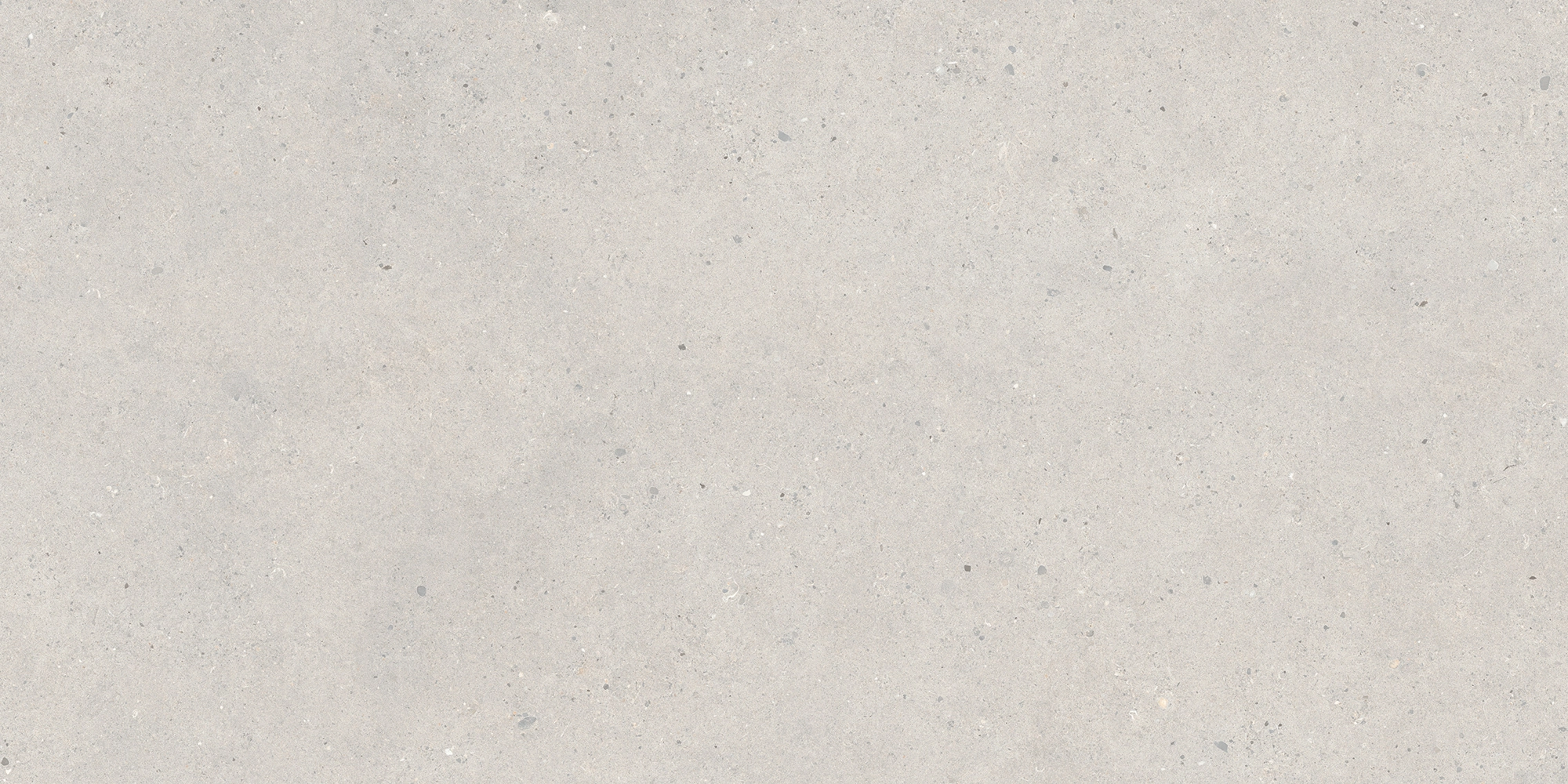 Italgraniti Silver Grain Grey Ant.Sq.2Cm 120X60 SI03BA2