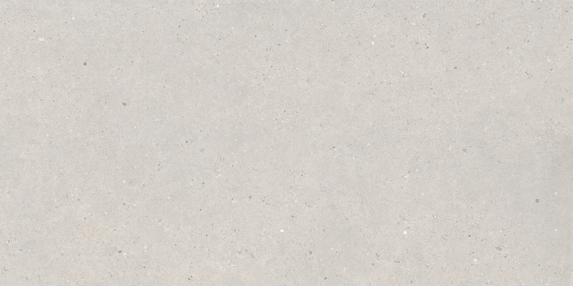 Italgraniti Silver Grain Grey Ant.Sq.2Cm 120X60 SI03BA2