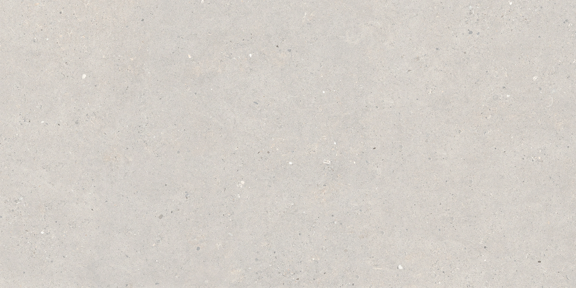 Italgraniti Silver Grain Grey Ant.Sq.2Cm 120X60 SI03BA2