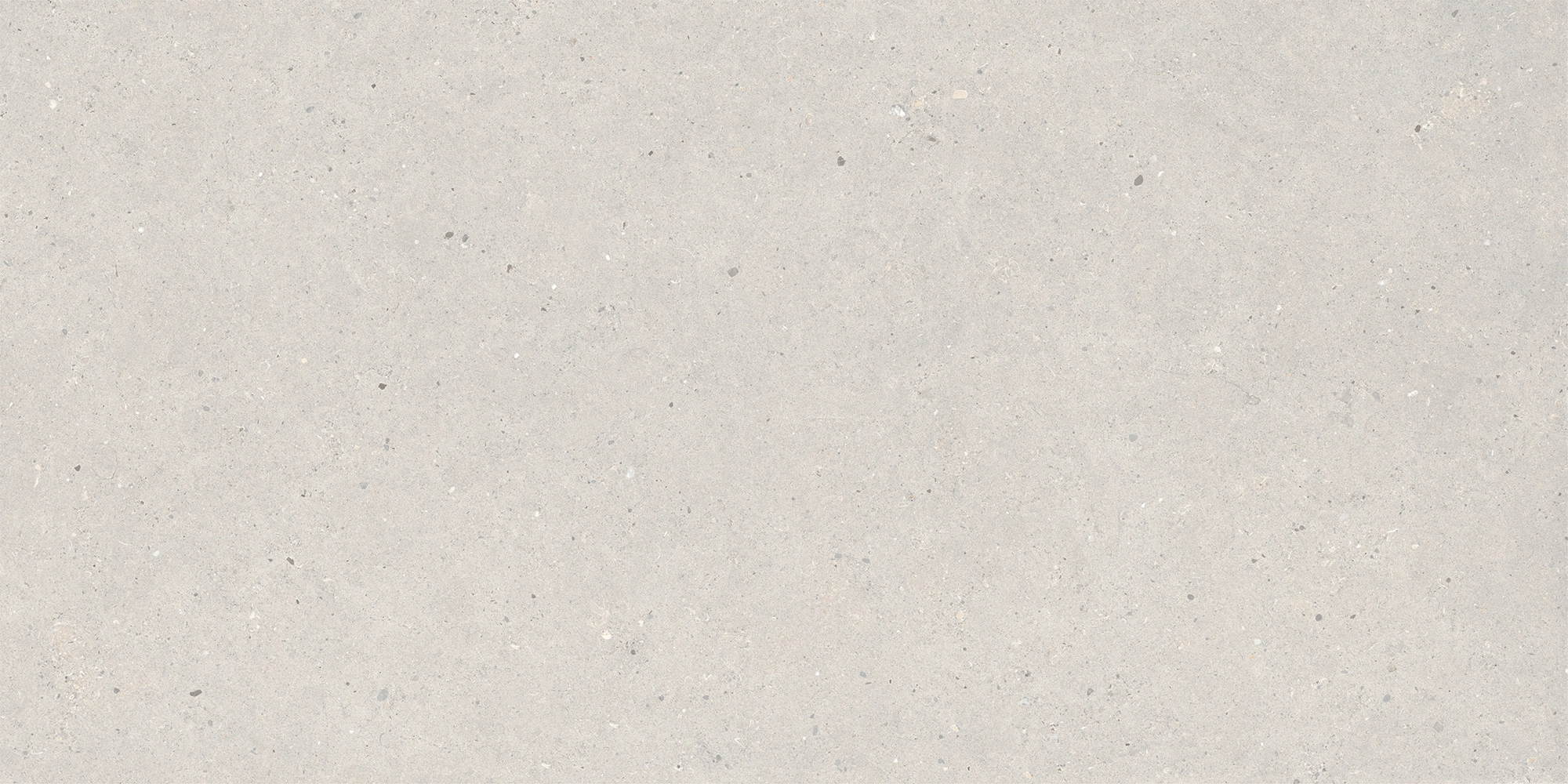 Italgraniti Silver Grain Grey Ant.Sq.2Cm 120X60 SI03BA2
