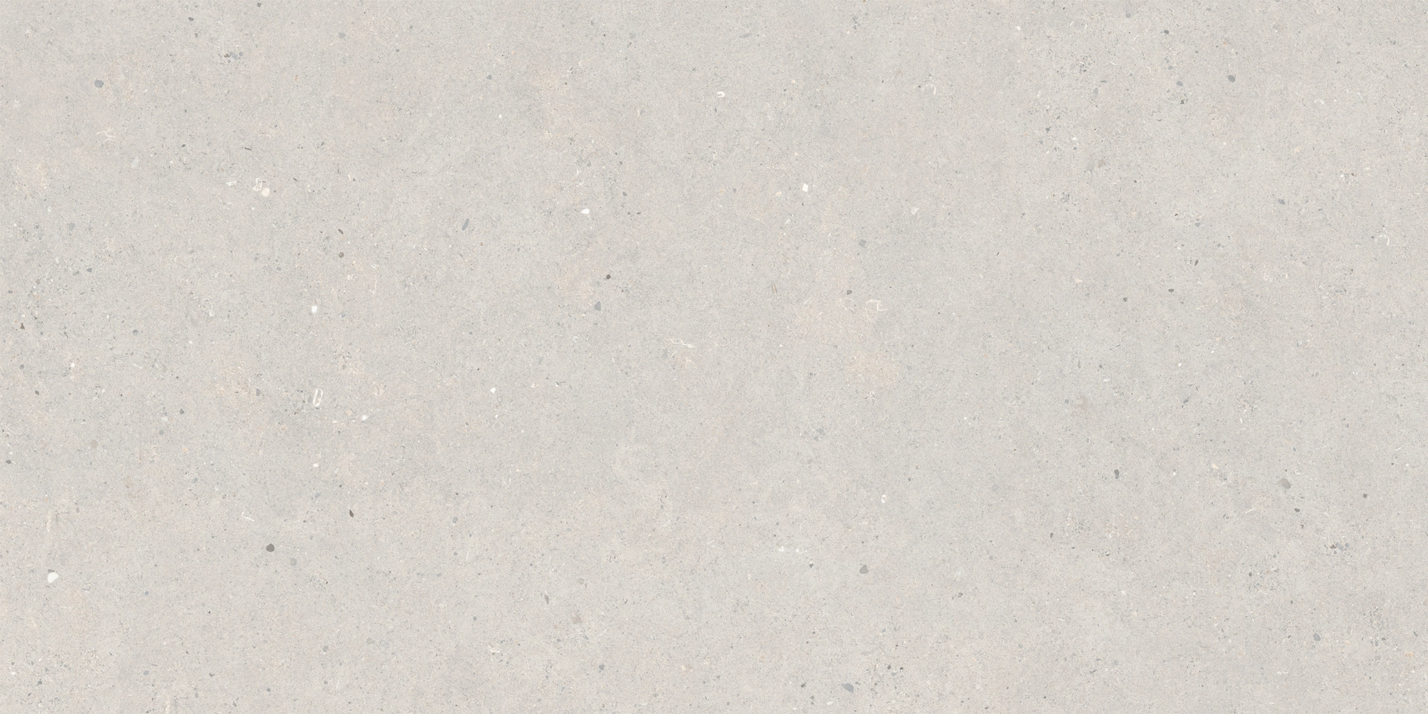 Italgraniti Silver Grain Grey Ant.Sq.2Cm 120X60 SI03BA2