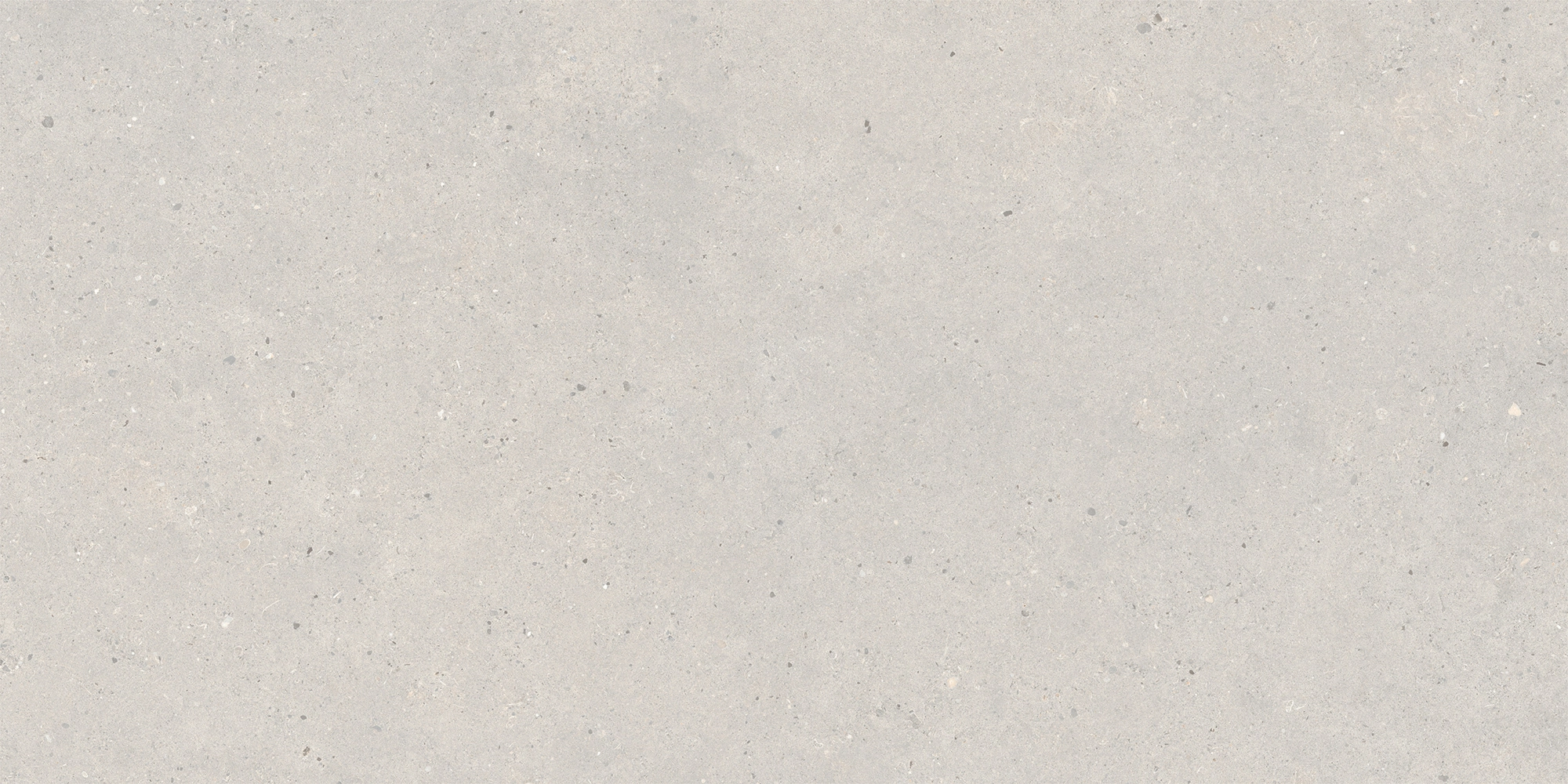 Italgraniti Silver Grain Grey Ant.Sq.2Cm 120X60 SI03BA2