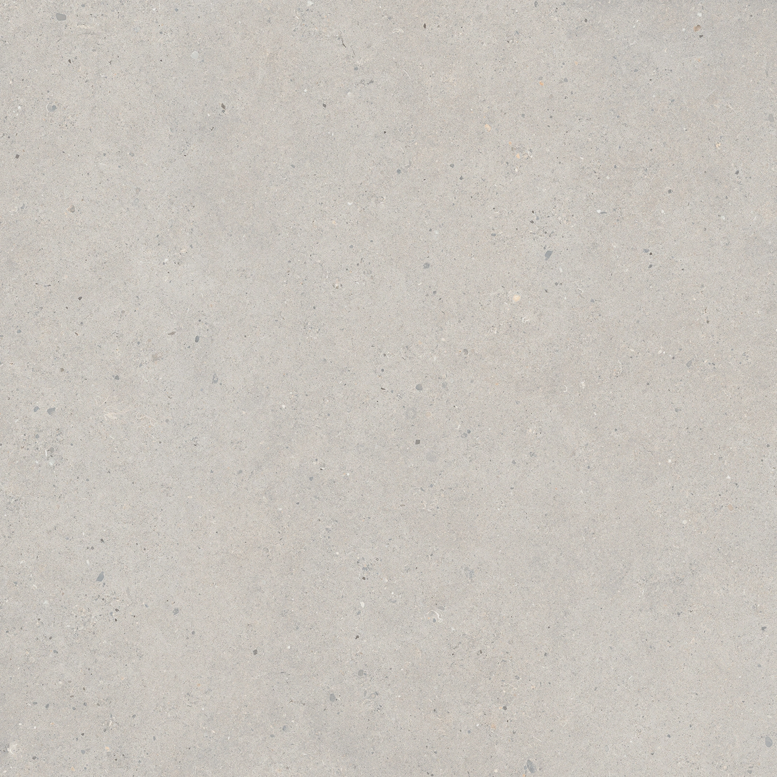 Italgraniti Silver Grain Grey Sq. 80X80 SI0388