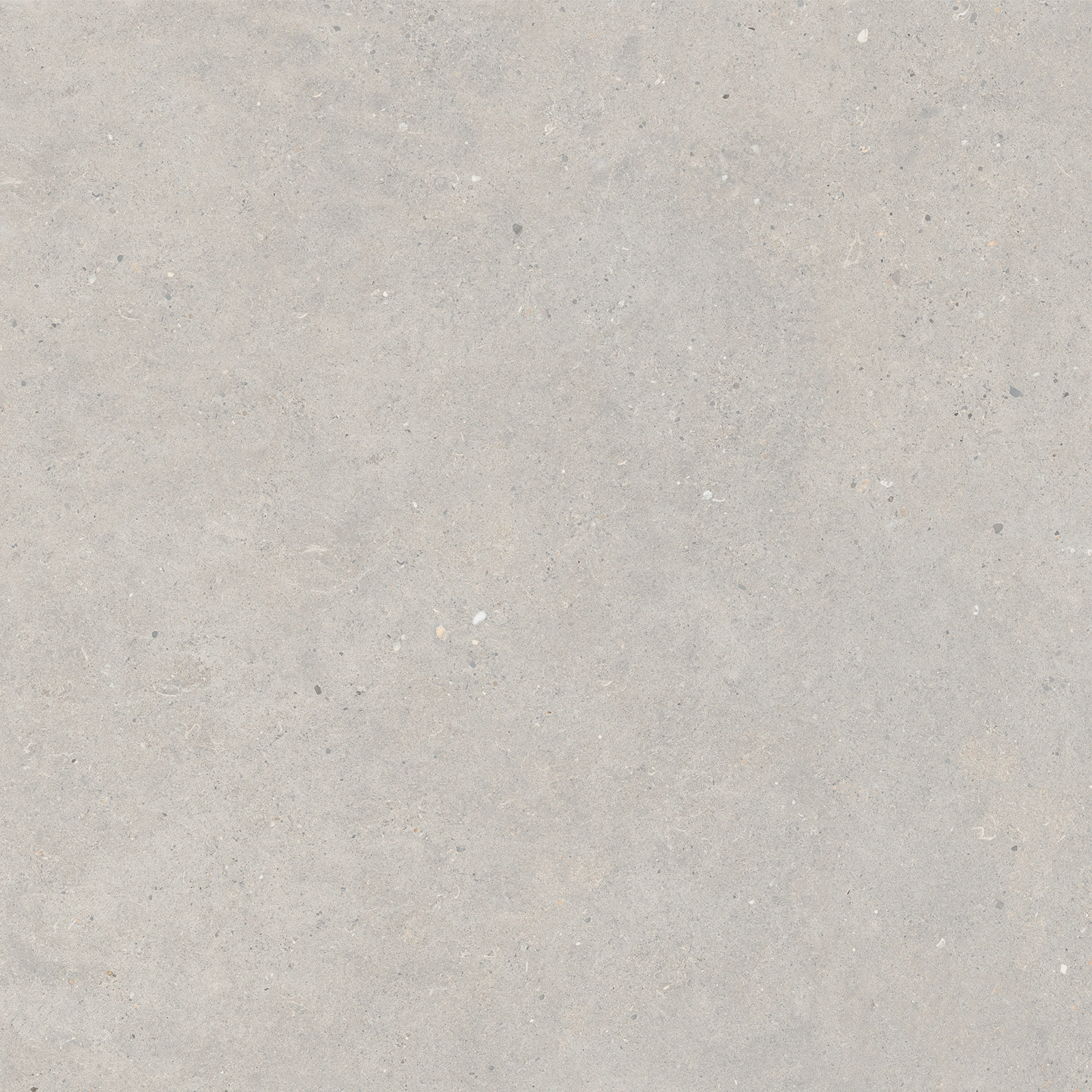 Italgraniti Silver Grain Grey Sq. 80X80 SI0388
