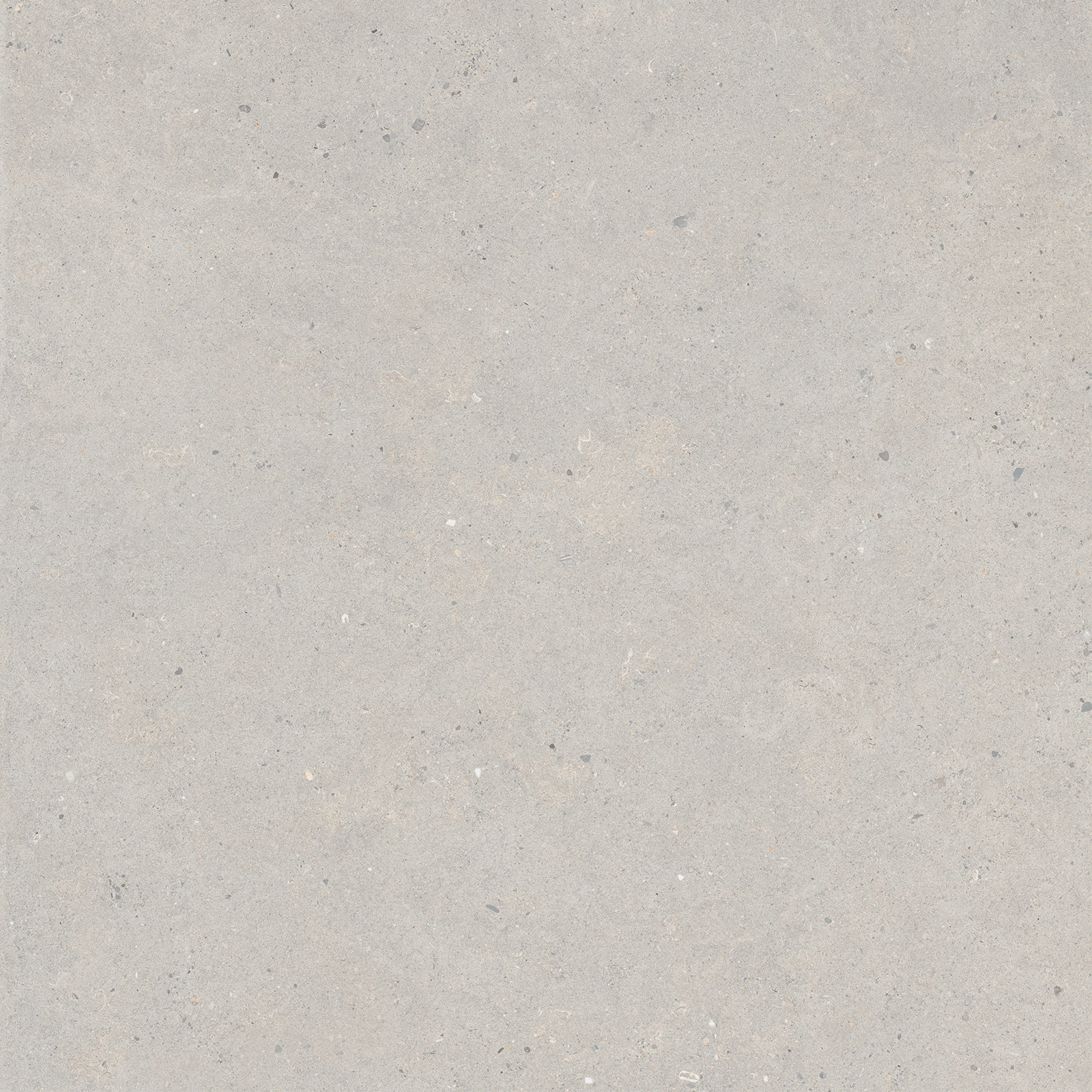 Italgraniti Silver Grain Grey Sq. 80X80 SI0388
