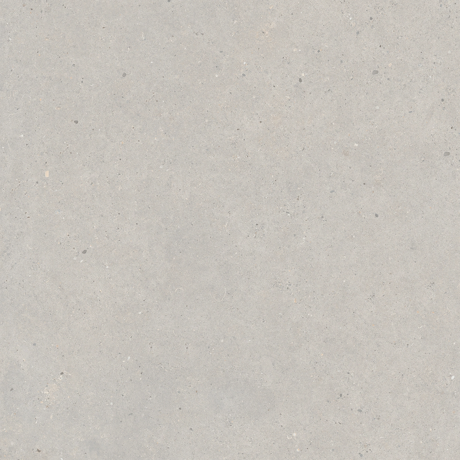 Italgraniti Silver Grain Grey Sq. 80X80 SI0388