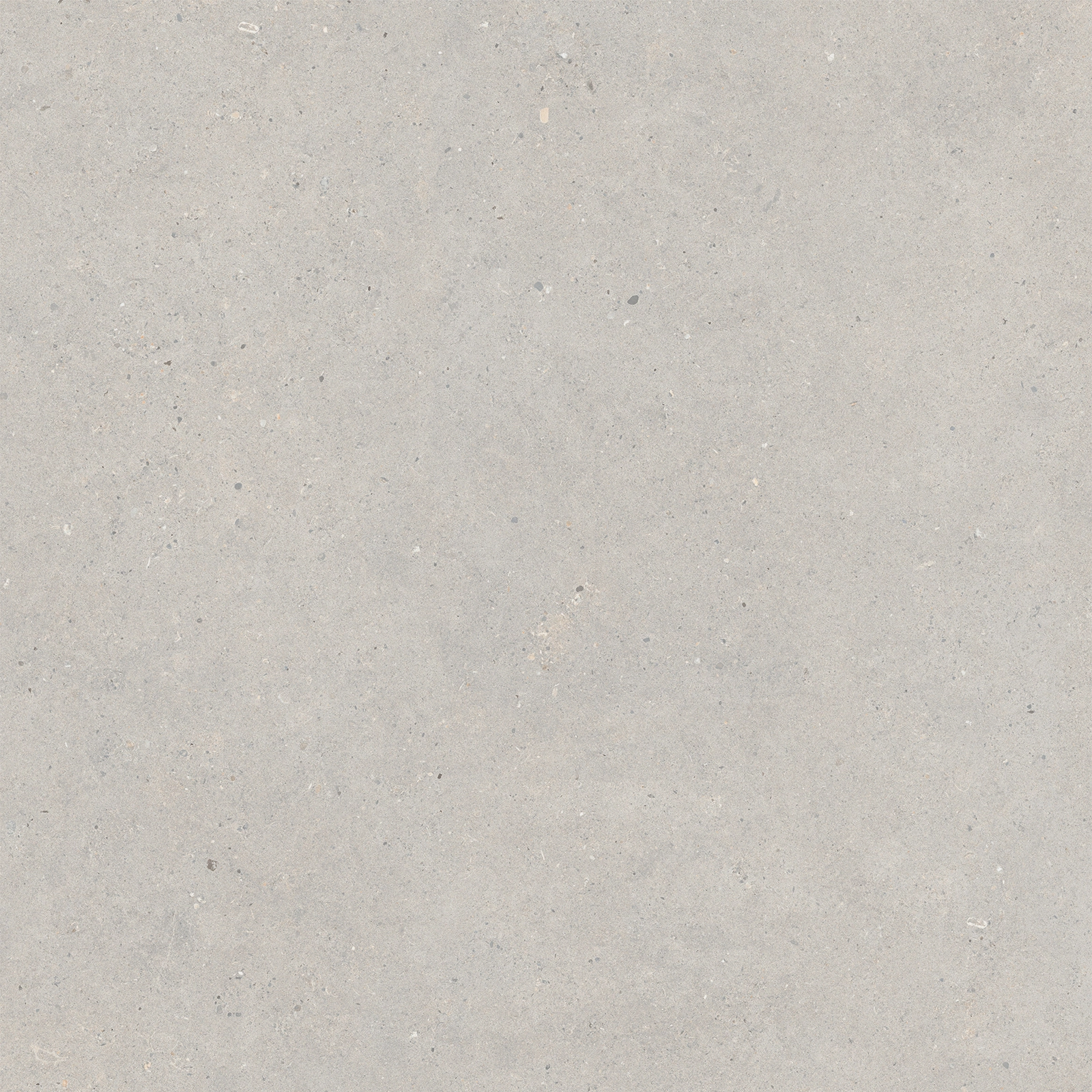 Italgraniti Silver Grain Grey Sq. 80X80 SI0388