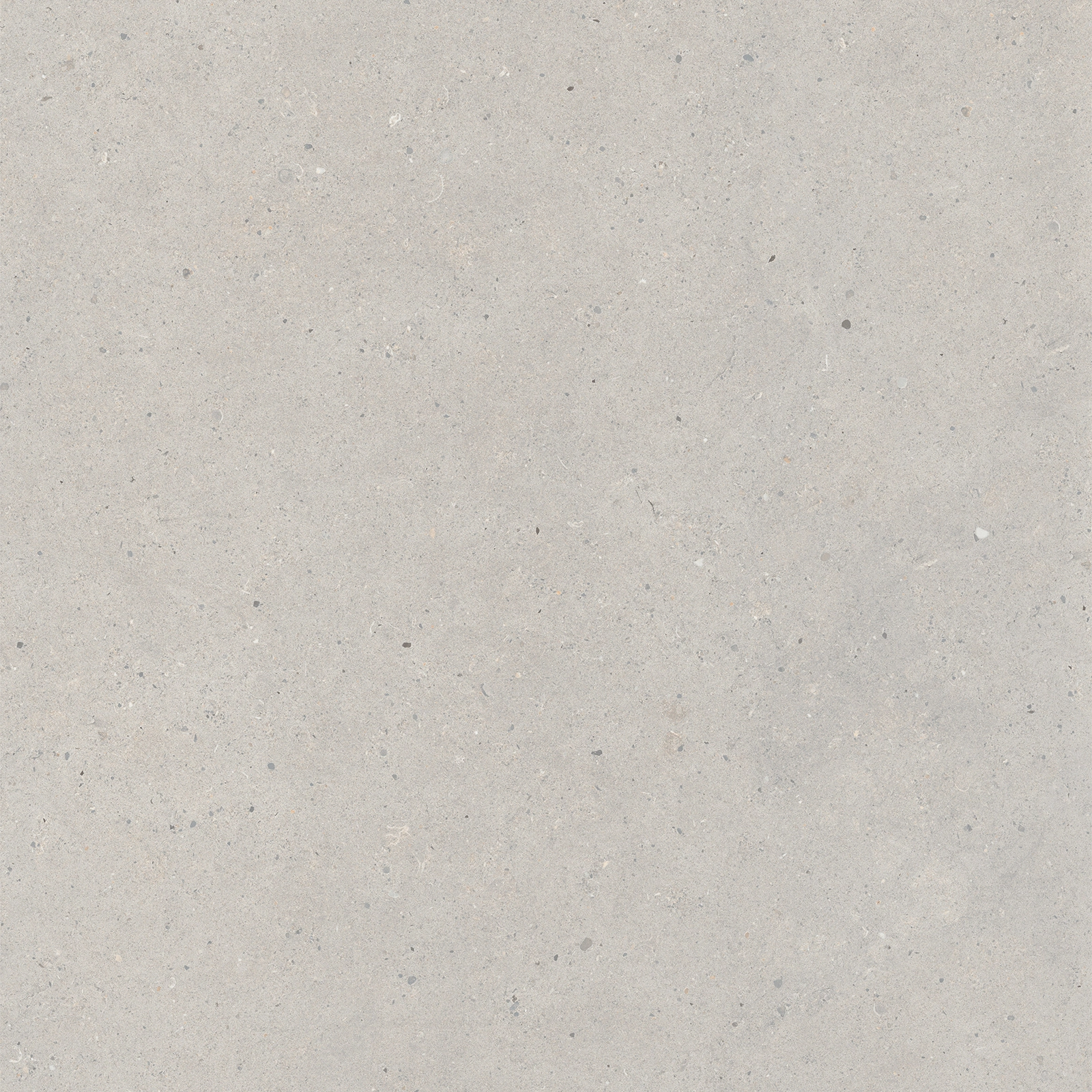 Italgraniti Silver Grain Grey Sq. 80X80 SI0388