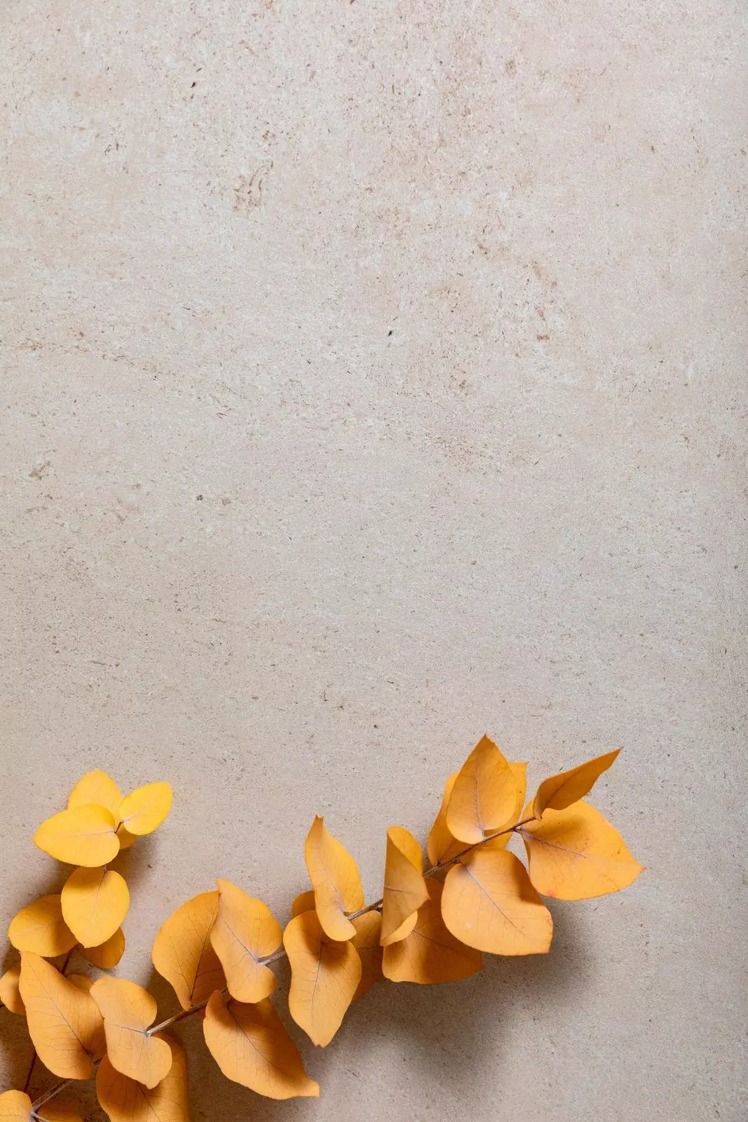 Marazzi Stonework Taupe MLHS