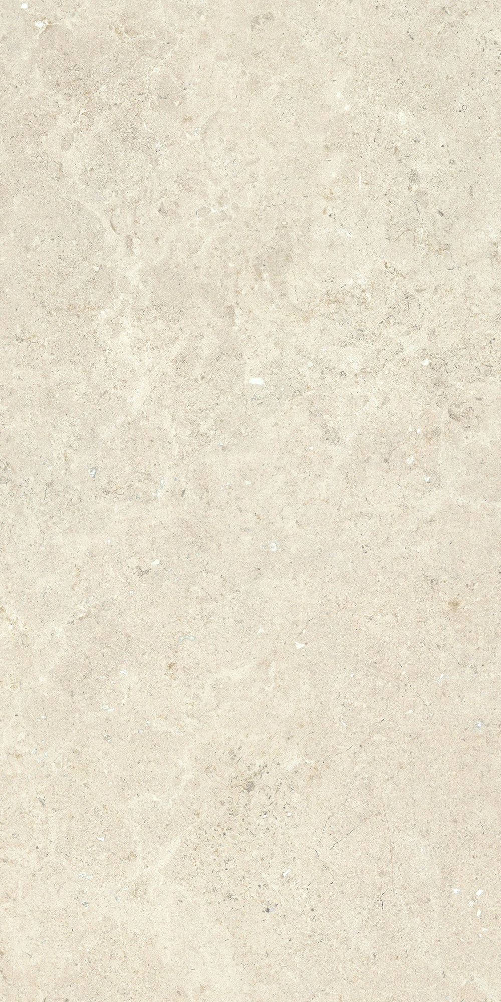 Floor Gres Stontech 4.0 Stone_02 R+Ptv 30X60 Ret 761264