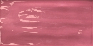 Tonalite Joyful Pitaya JOY20PI