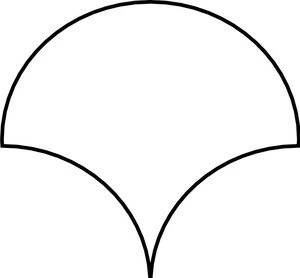 Tonalite Shell Cemento SHE1673